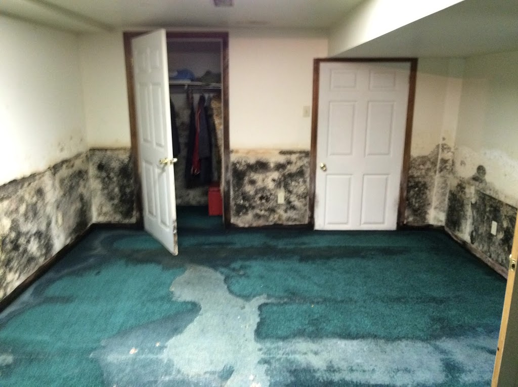 Highland Restoration DKI | 9 Commerce Rd, Orangeville, ON L9W 3X5, Canada | Phone: (519) 941-8141