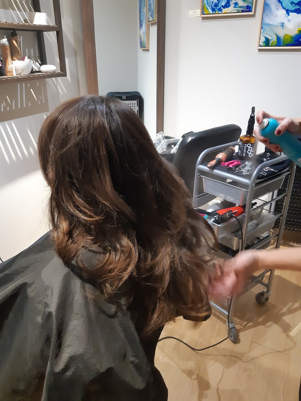 Salon HairRaisers | 63a Ave Donegani, Pointe-Claire, QC H9R 2V9, Canada | Phone: (514) 426-5816