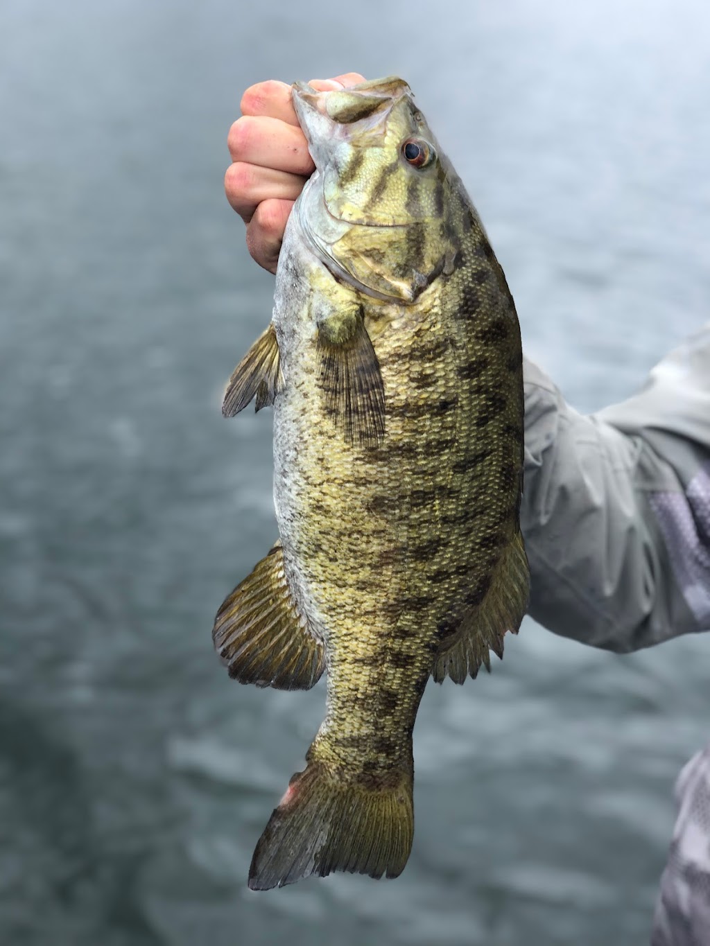 Ash Rapids Lodge | 1 Ash Bay Lake of the Woods, Kenora, ON P9N 3X7, Canada | Phone: (800) 465-1095