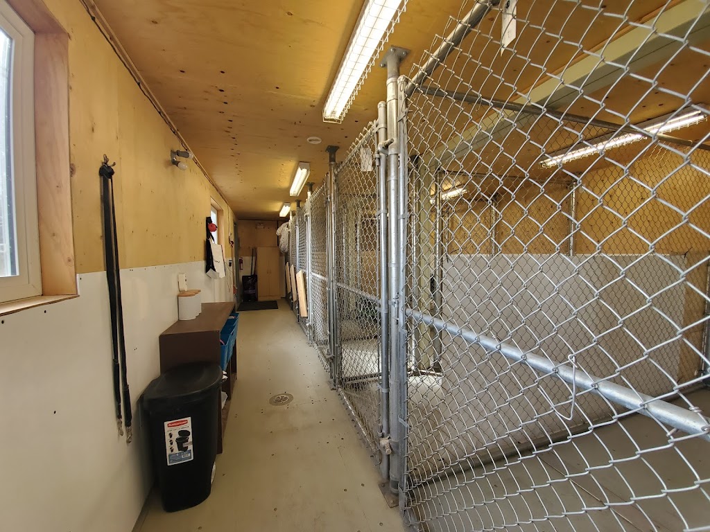 Paws and Claws Boarding Ltd. | 275072 Symons Valley Rd NW, Madden, AB T4B 2A3, Canada | Phone: (587) 436-7297