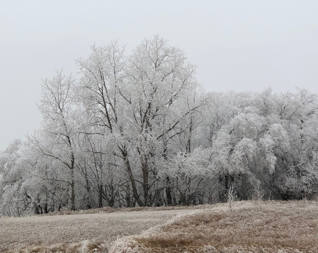 Oungre Memorial Regional Park | Hwy 35 & Hwy 18, Oungre, SK S0C 1Z0, Canada | Phone: (306) 456-2531