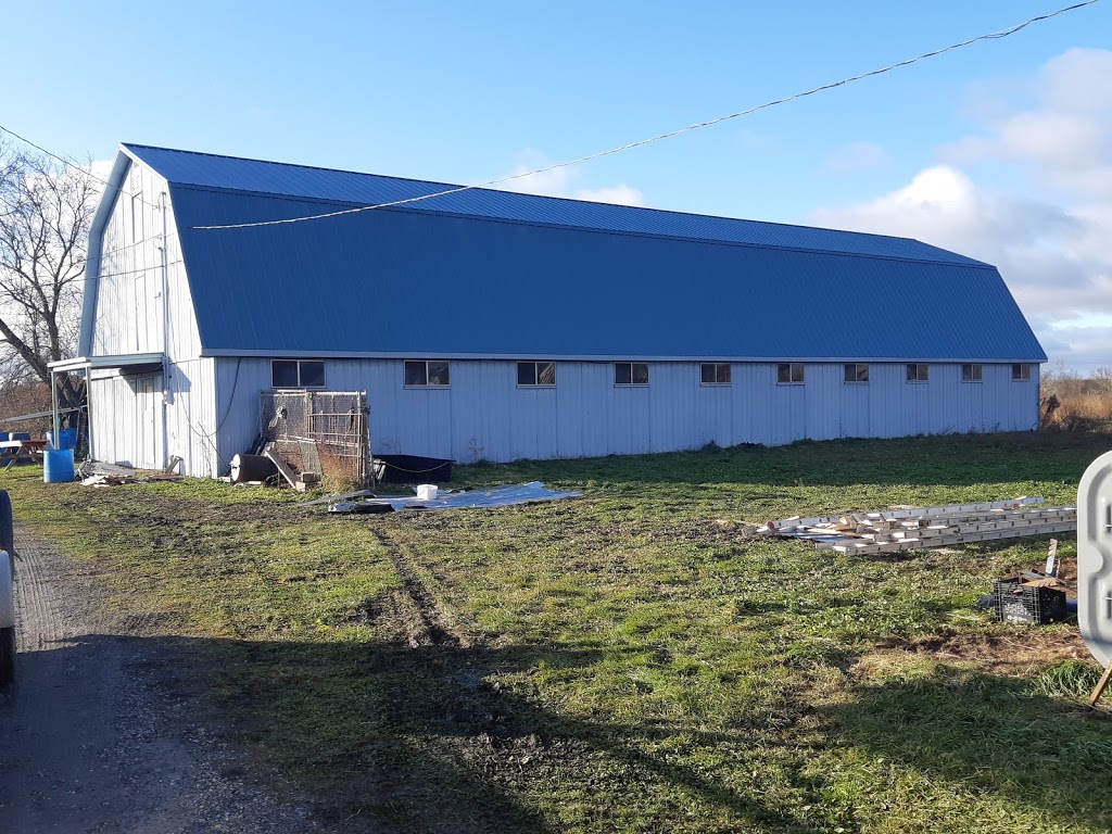 Lifetime Exteriors Custom Metal Roofing | 4 Hobson Ave, Welland, ON L3B 1G5, Canada | Phone: (905) 733-8408