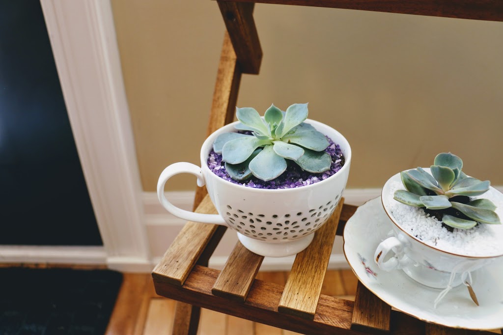 Le Jardin Flower Shop | 24 Queen St W, Cambridge, ON N3C 1G1, Canada | Phone: (226) 600-2559