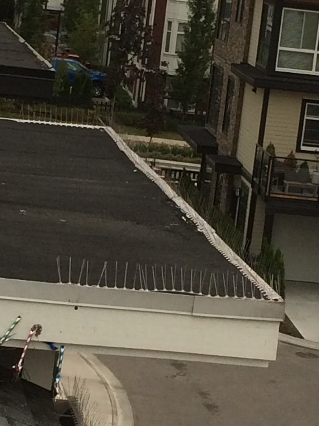 Exopest Pest control | 47, 20821 Fraser Hwy, Langley City, BC V3A 4G7, Canada | Phone: (604) 760-1542