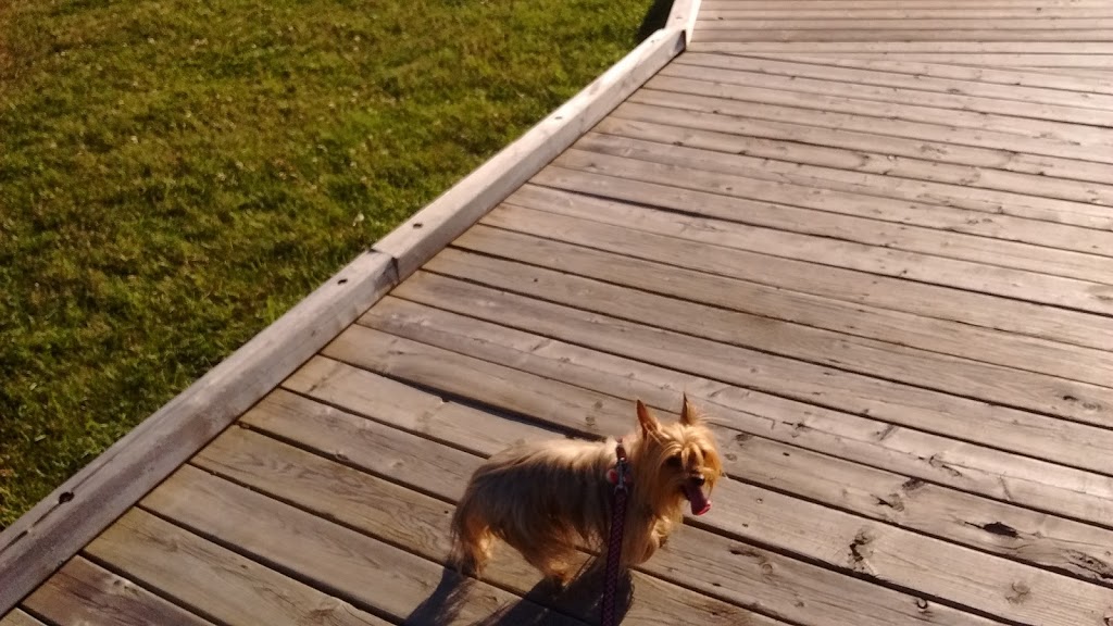 Peter Ream Park | Fort Saskatchewan, AB T8L 4L2, Canada