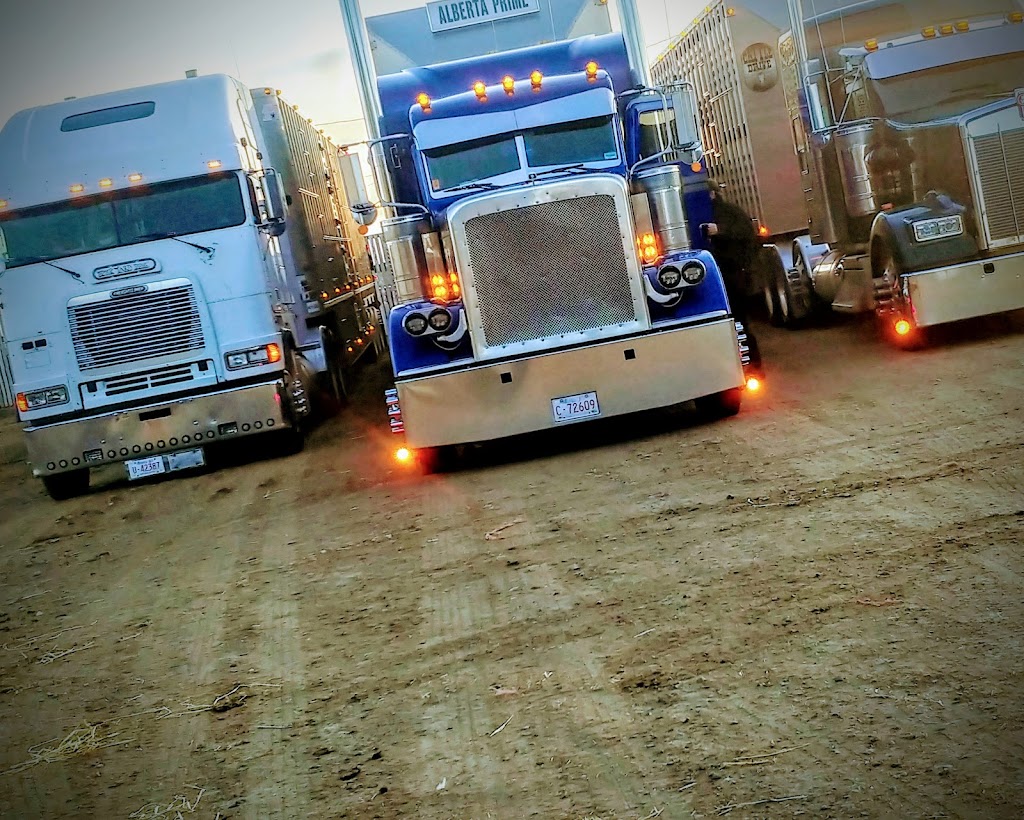 Motion Mechanical | 109 14 St, Nobleford, AB T0L 1S0, Canada | Phone: (587) 800-0829