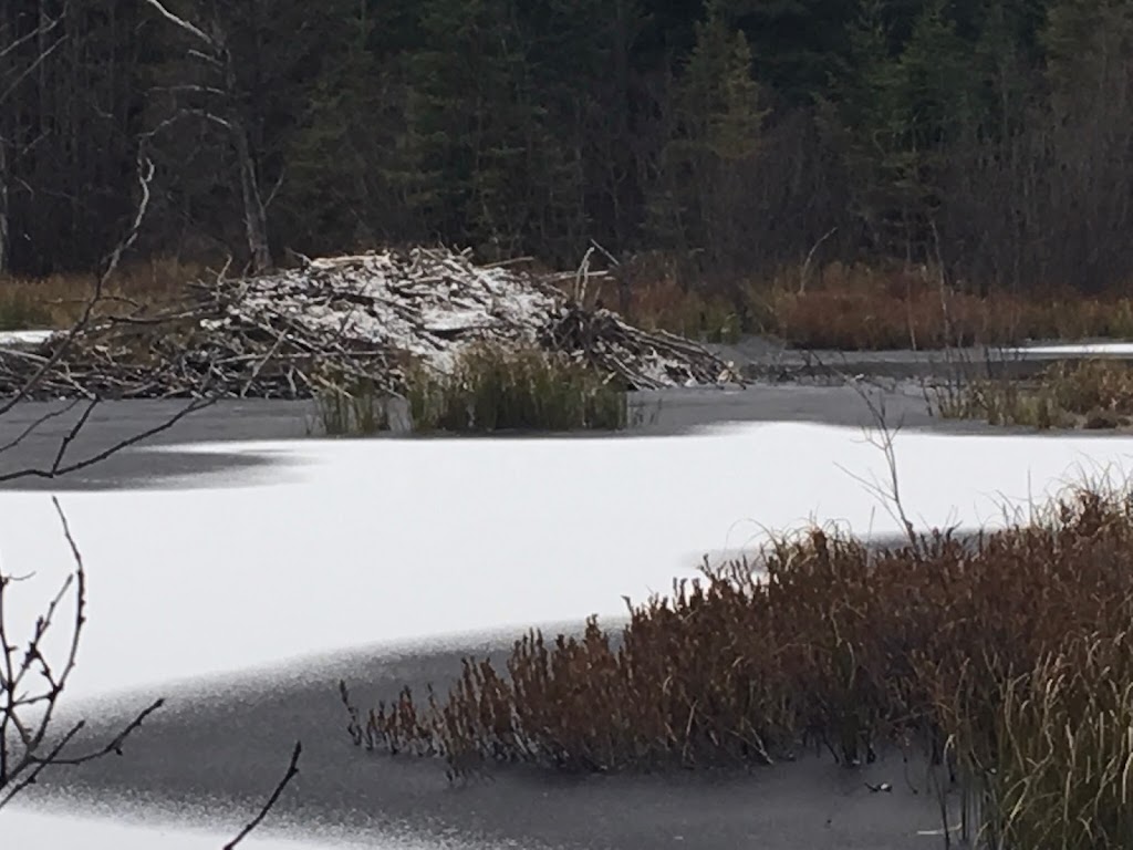 Hudson Township Hall | 278011 Milberta Rd, Temiskaming Shores, ON P0J 1P0, Canada | Phone: (705) 647-5568