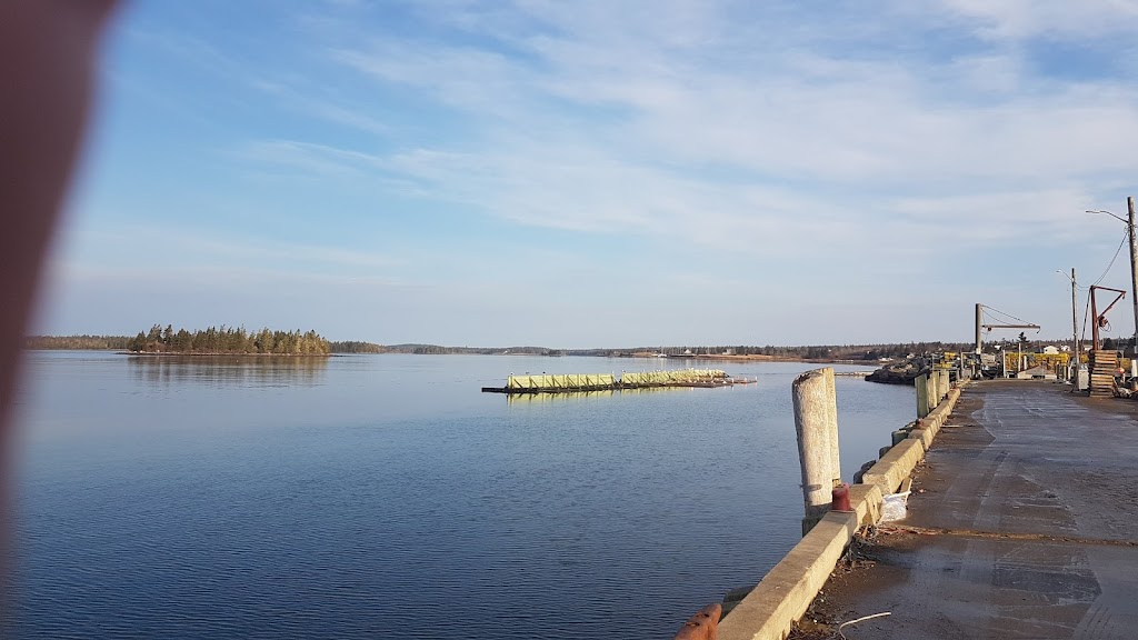 Lower Argyle Fishermans Co-Operative | 81 Camp Cove Rd, Glenwood, NS B0W 1W0, Canada | Phone: (902) 643-2976