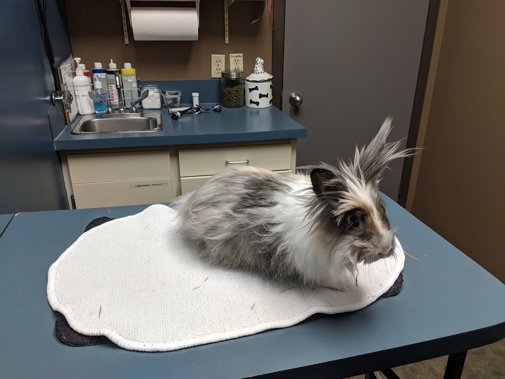 WinRose Animal Hospital | 534 St Annes Rd, Winnipeg, MB R2M 3G1, Canada | Phone: (204) 254-3150