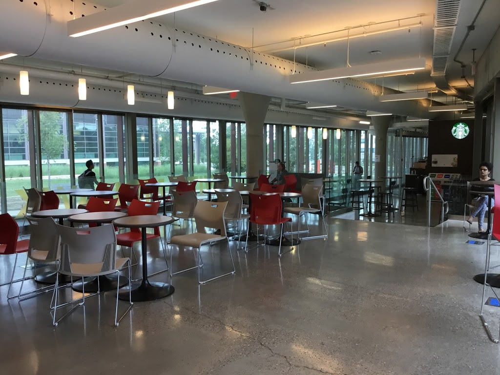 Mohawk College | 135 Fennell Ave W, Hamilton, ON L9C 0E5, Canada | Phone: (905) 575-1212