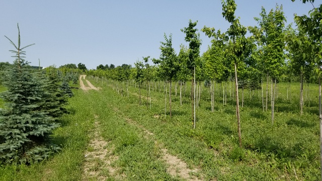 Gerd Hermanns Landscape Contractor Inc. | 1408 20th Sideroad, Schomberg, ON L0G 1T0, Canada | Phone: (905) 939-7171