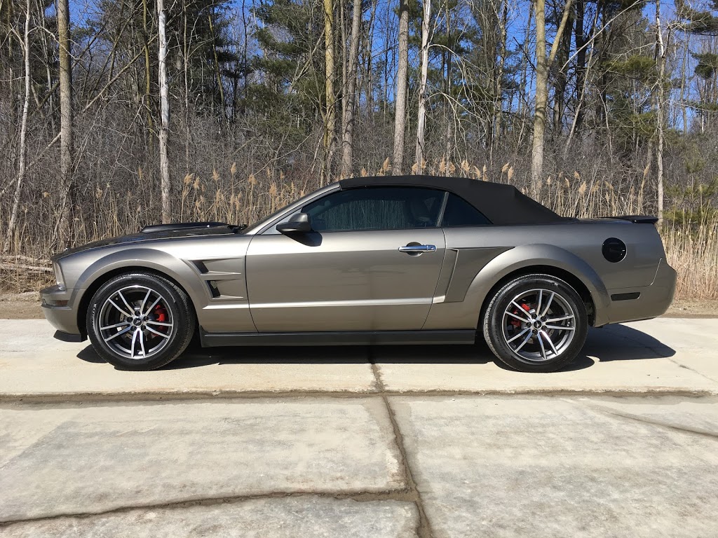 Martys Auto Detailing | 3319 Dove Rd, Port Huron, MI 48060, USA | Phone: (810) 650-5239
