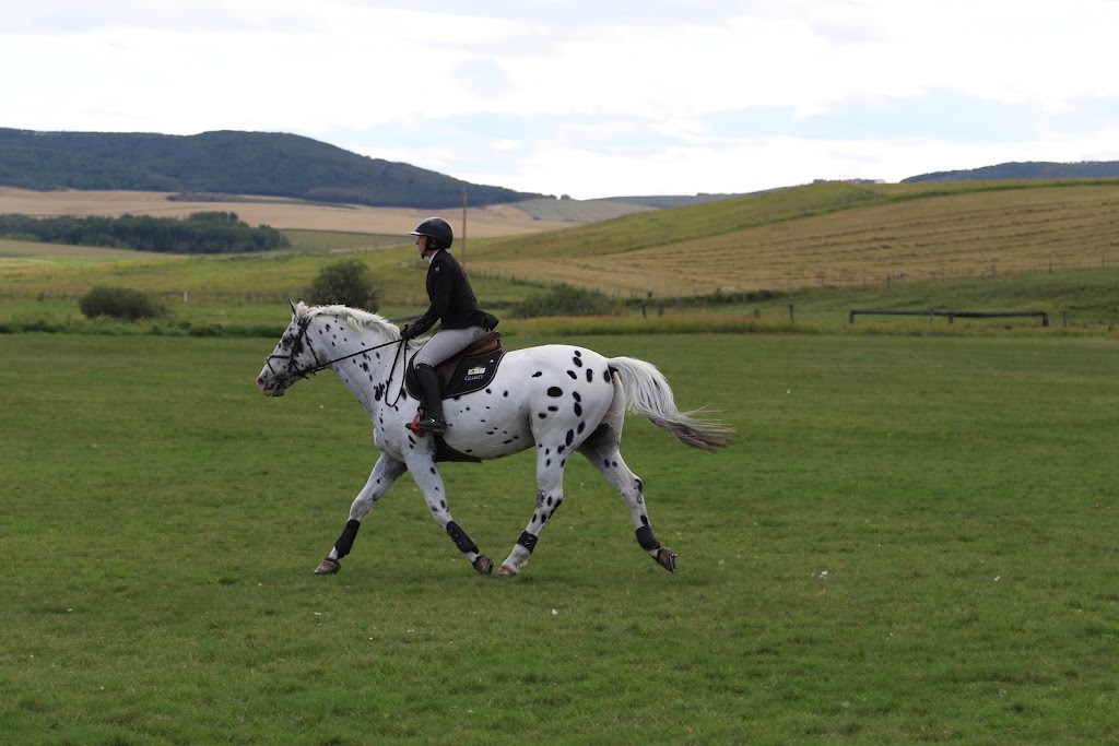 Rocky Mountain Show Jumping | 1405 226 Ave W, De Winton, AB T0L 0X0, Canada | Phone: (403) 256-8652