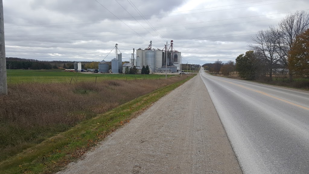 Underwood Grain Ltd | 41797 Howick Turnberry Rd, Wingham, ON N0G 2W0, Canada | Phone: (519) 335-3579