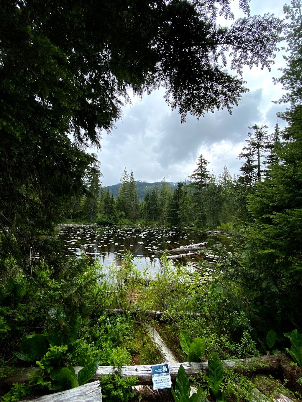 Panorama Trail | Unnamed Road, Britannia Beach, BC V0N 1J0, Canada | Phone: (604) 892-2550