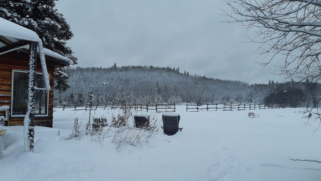 Rose Valley Lodge & Restaurant | Rose Valley Rd, South Gillies, ON P0T 2V0, Canada | Phone: (807) 473-5448