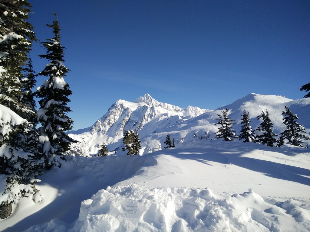 Glacier Ski Shop | 9966 Mt Baker Hwy, Deming, WA 98244, USA | Phone: (360) 599-1943