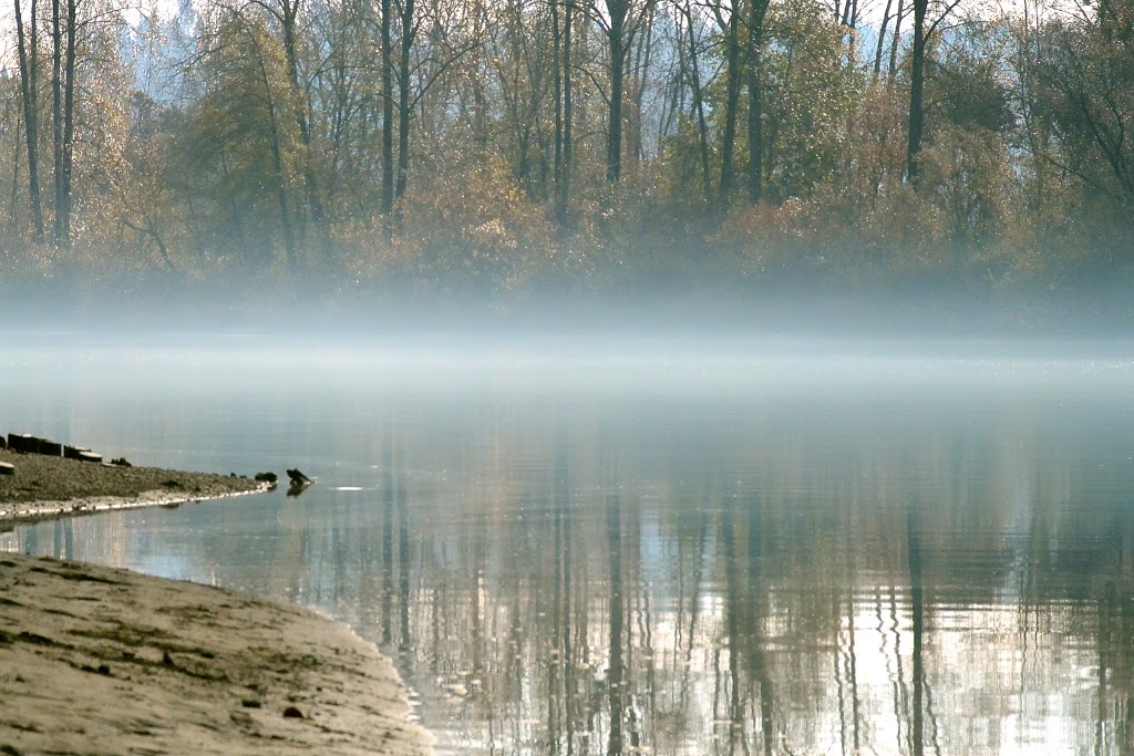 Brae Island Regional Park | 9451 Glover Rd, Langley City, BC V1M 2R9, Canada | Phone: (604) 432-6200