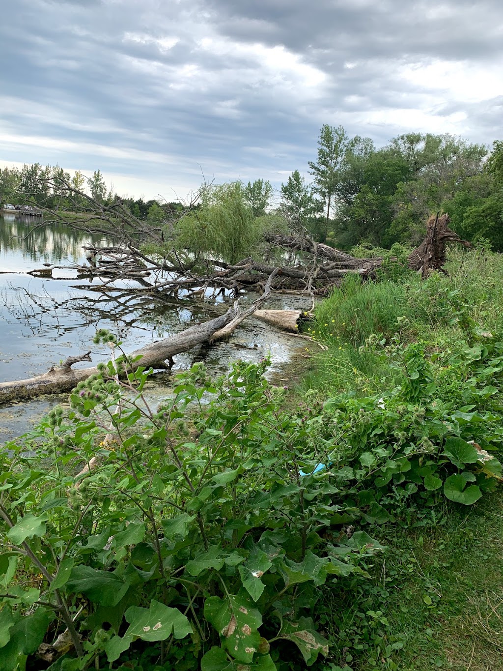 Fishing Dock | Hamilton, ON L3M, Canada | Phone: (416) 671-1975