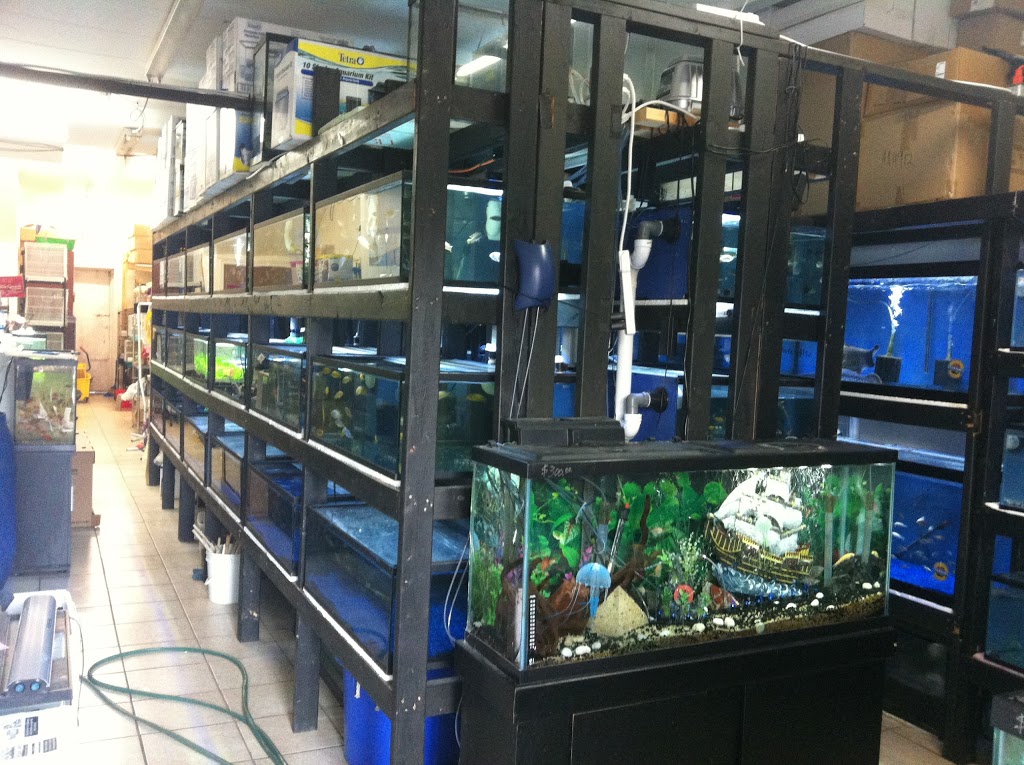 T T Aquarium&Pets | 1160 Albion Rd, Etobicoke, ON M9V 1A8, Canada | Phone: (647) 349-3732