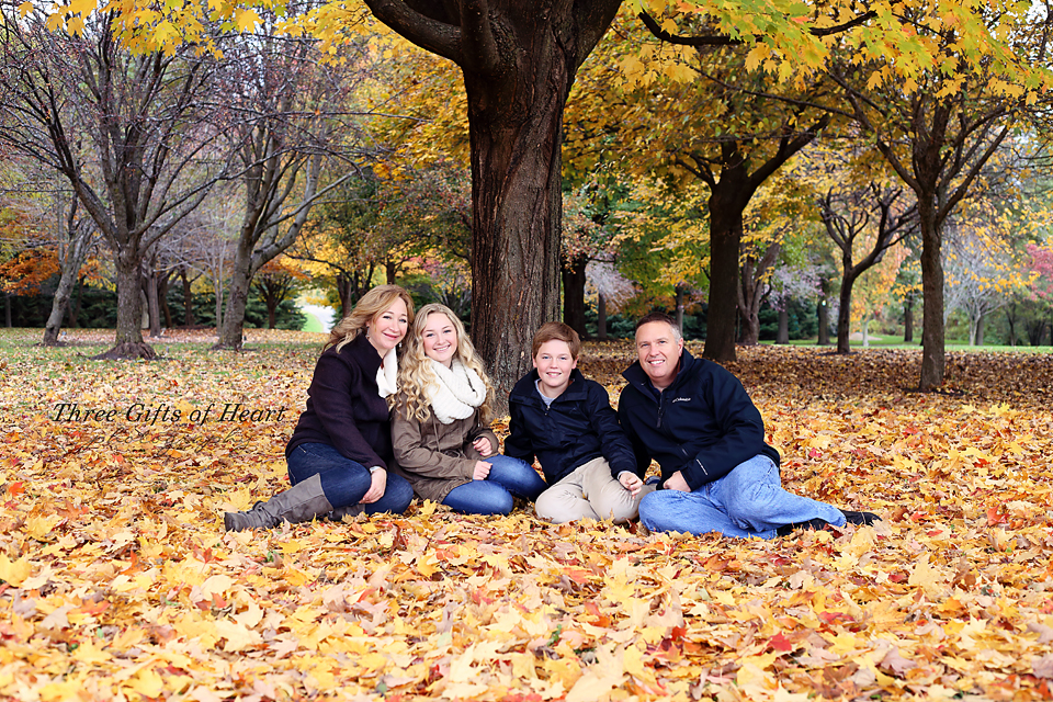 Three Gifts of Heart Photography | 1 Sawmill Rd, Barrie, ON L4N 6X1, Canada | Phone: (705) 716-8436