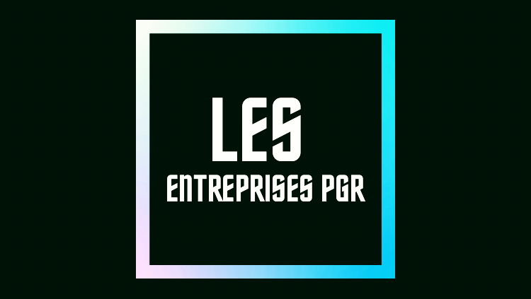 SERVICES PGR | 1240 Rue Fénelon, Québec, QC G2E 4H5, Canada | Phone: (514) 295-9285