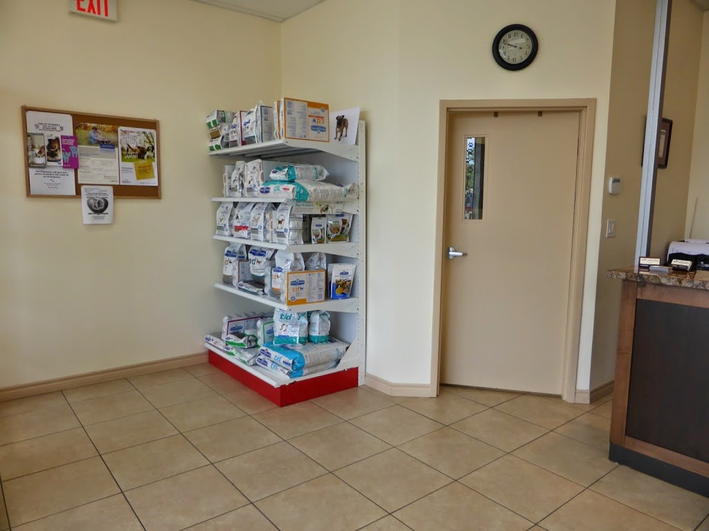 Upper Ottawa Animal Hospital | 868 Mohawk Rd E, Hamilton, ON L8T 2R5, Canada | Phone: (905) 388-0770