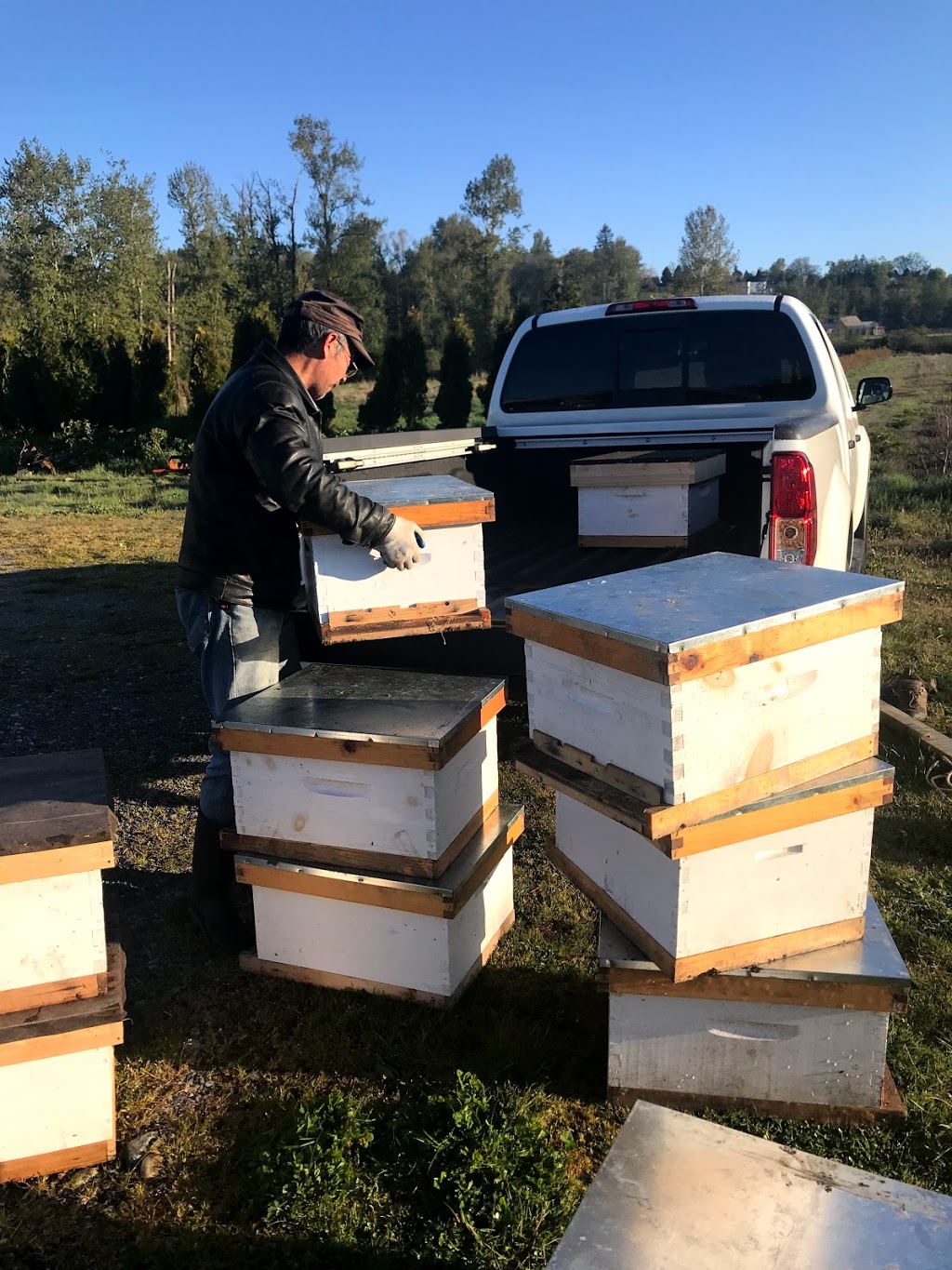fathers honeybee farm | 18339-18201 16 Ave, Surrey, BC V3S 9V2, Canada | Phone: (778) 951-2105
