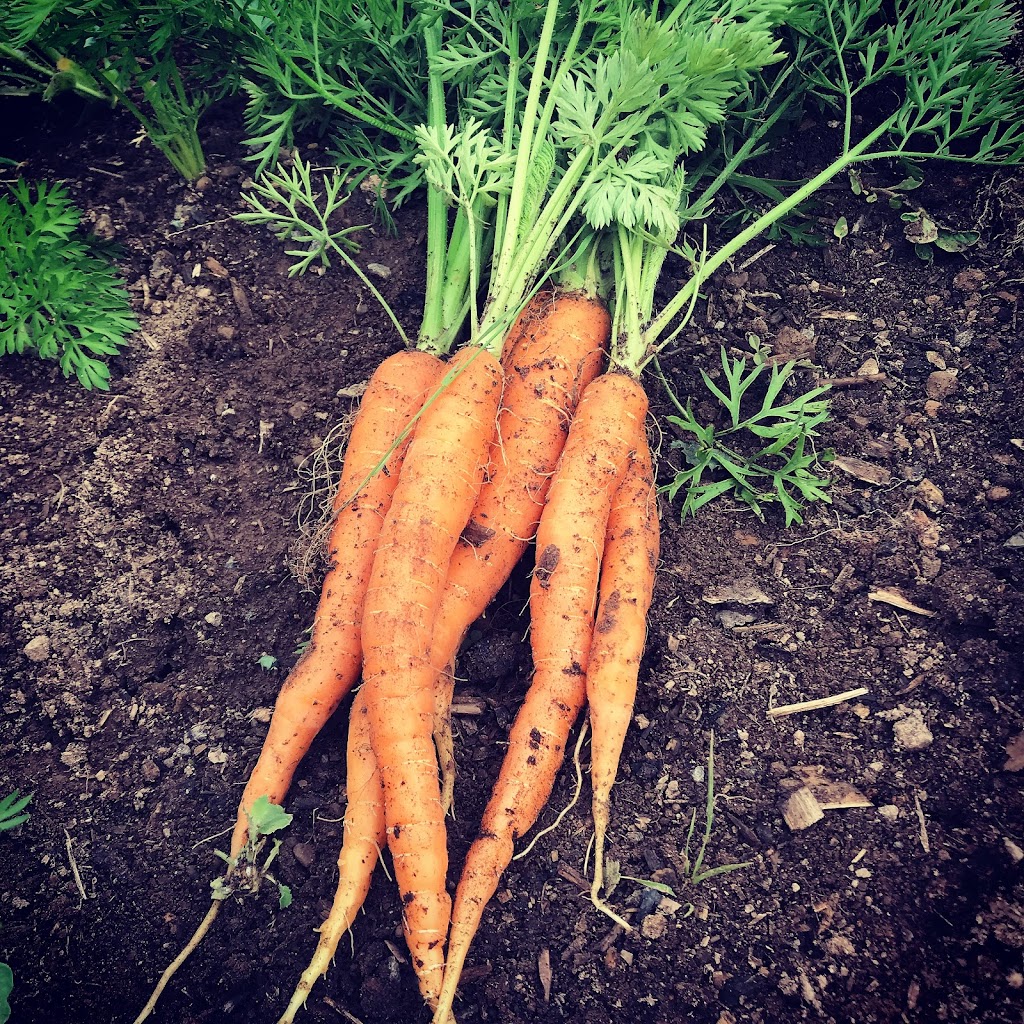 Codiac Organics Ltd. | 1176 Ryan St., Moncton, NB E1G 2V6, Canada | Phone: (506) 870-0772
