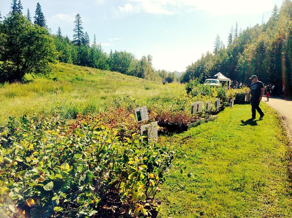 MacKinnon Food Forest | River Valley Capitol Hill, Edmonton, AB T5N 3M7, Canada