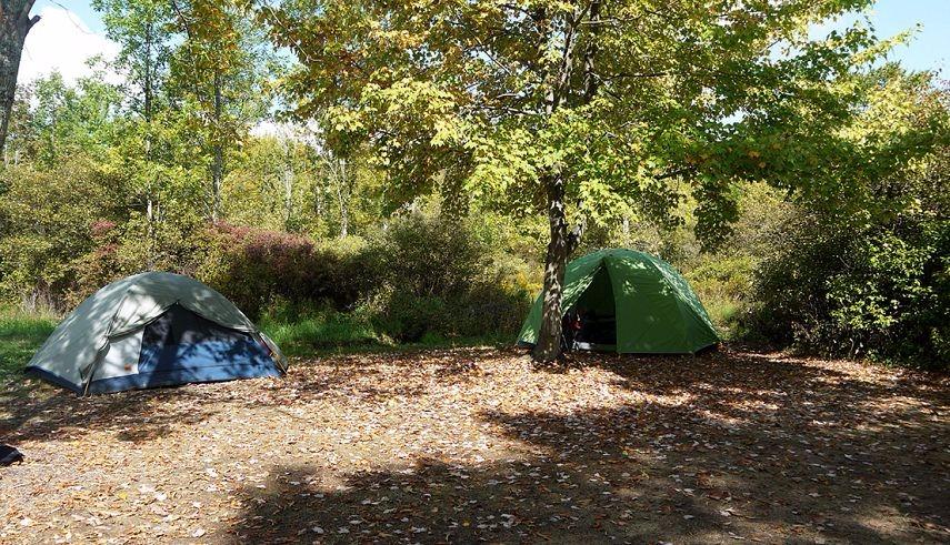Branches of Niagara Campground & Resort | 2659 Whitehaven Rd, Grand Island, NY 14072, USA | Phone: (716) 773-7600