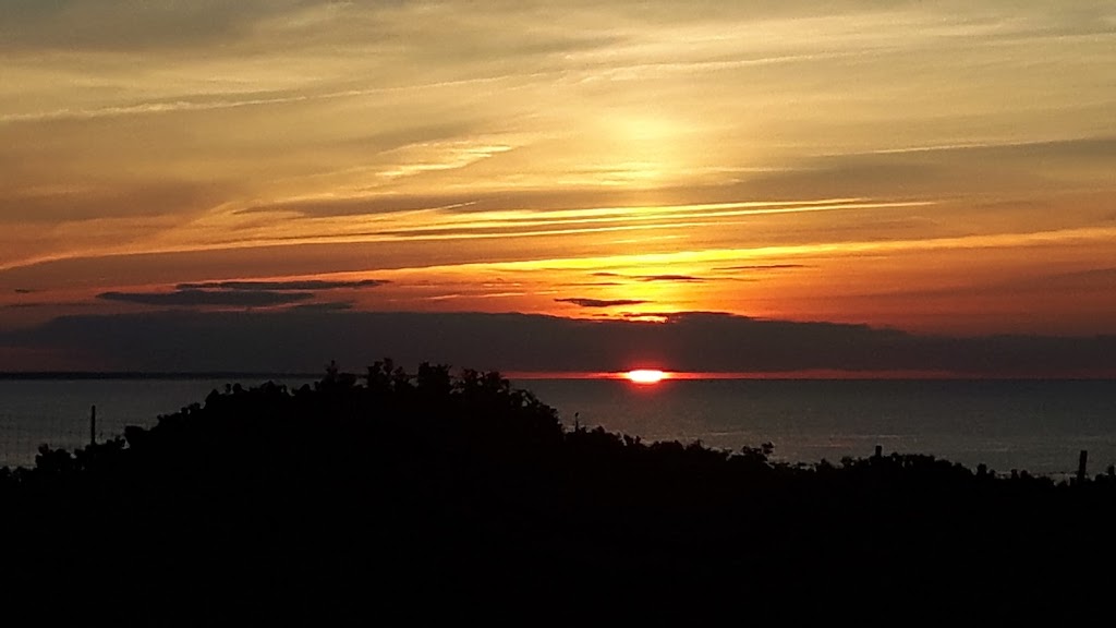 daminaMarketing | 2 St Antoine St, Grand-Barachois, NB E4P 8M6, Canada | Phone: (506) 851-1828