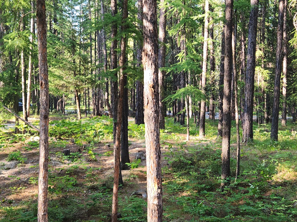 Moyie Lake Provincial Park | 3208 Brana Rd, Moyie, BC V0B 2A0, Canada | Phone: (800) 689-9025