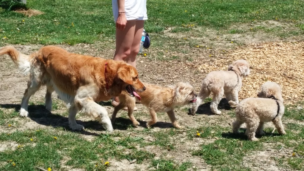 Miller Avenue Off-Leash Dog Park | 560 Miller Ave, Markham, ON L6G 1B2, Canada