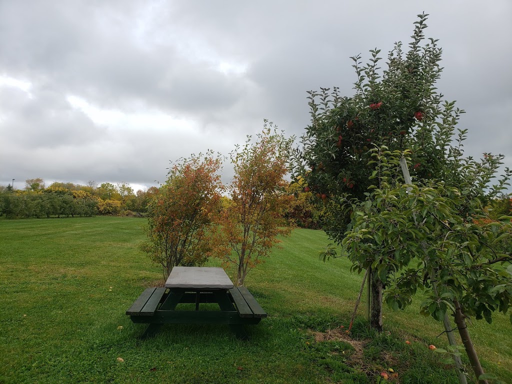 Pieters Appleyard | 13516 County Rd 2 RR 4, Colborne, ON K0K 1S0, Canada | Phone: (905) 355-5725