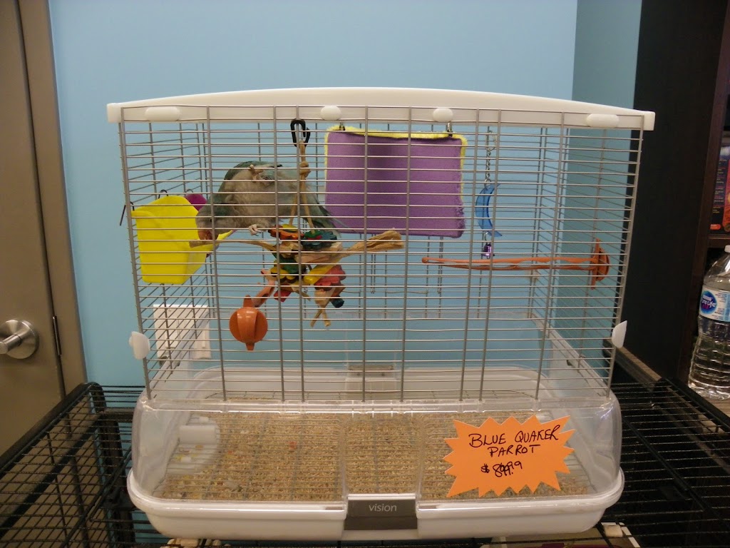 Doogans Pet Centre | 400 Bayfield St, Barrie, ON L4M 5A1, Canada | Phone: (705) 727-0182