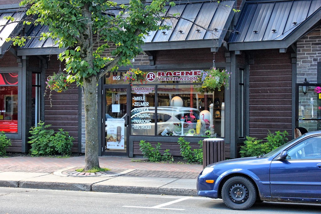 Racine Ventilation Inc | 805 Rue de St Jovite, Mont-Tremblant, QC J8E 3J3, Canada | Phone: (819) 681-7800
