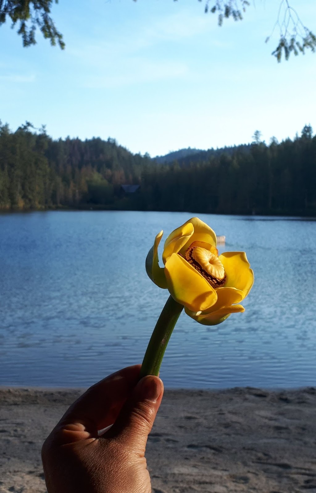 Katherine Lake Park - Sunshine Coast Regional District | 4955 Garden Bay Rd, Madeira Park, BC V0N 2H0, Canada | Phone: (604) 883-9557