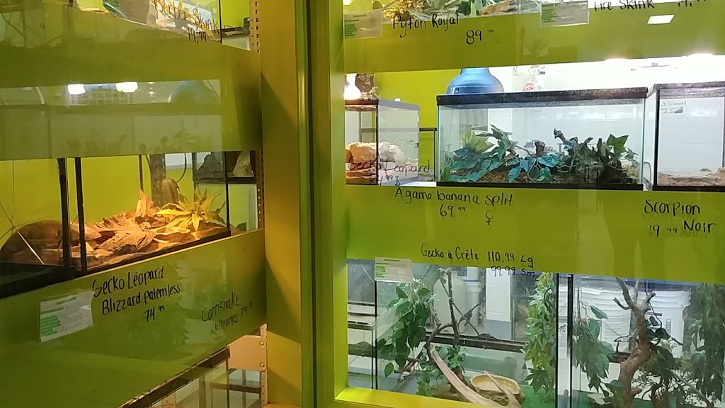 Animalerie Dyno | 8925 Boulevard de lOrmière, Québec, QC G2C 1C4, Canada | Phone: (418) 843-1466