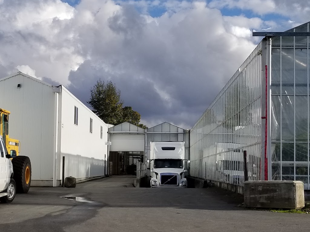 Mt Lehman Vegetable Farm | 6592 Mt Lehman Rd, Abbotsford, BC V4X 2G5, Canada | Phone: (604) 856-3360