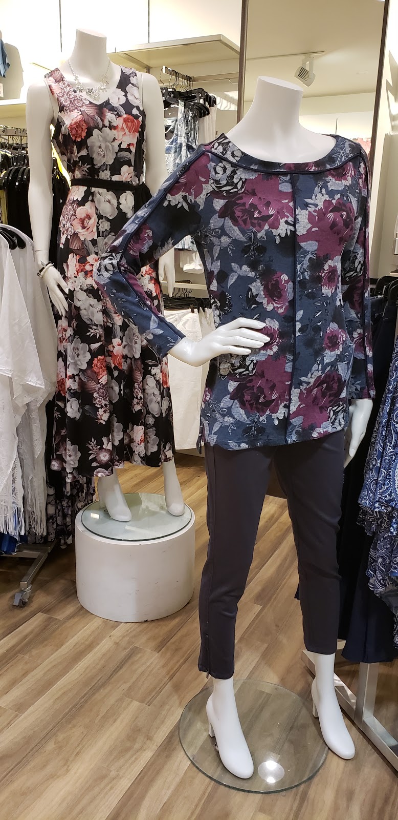 Cleo | 999 Upper Wentworth St Unit 169A, Hamilton, ON L9A 4W5, Canada | Phone: (905) 385-3355