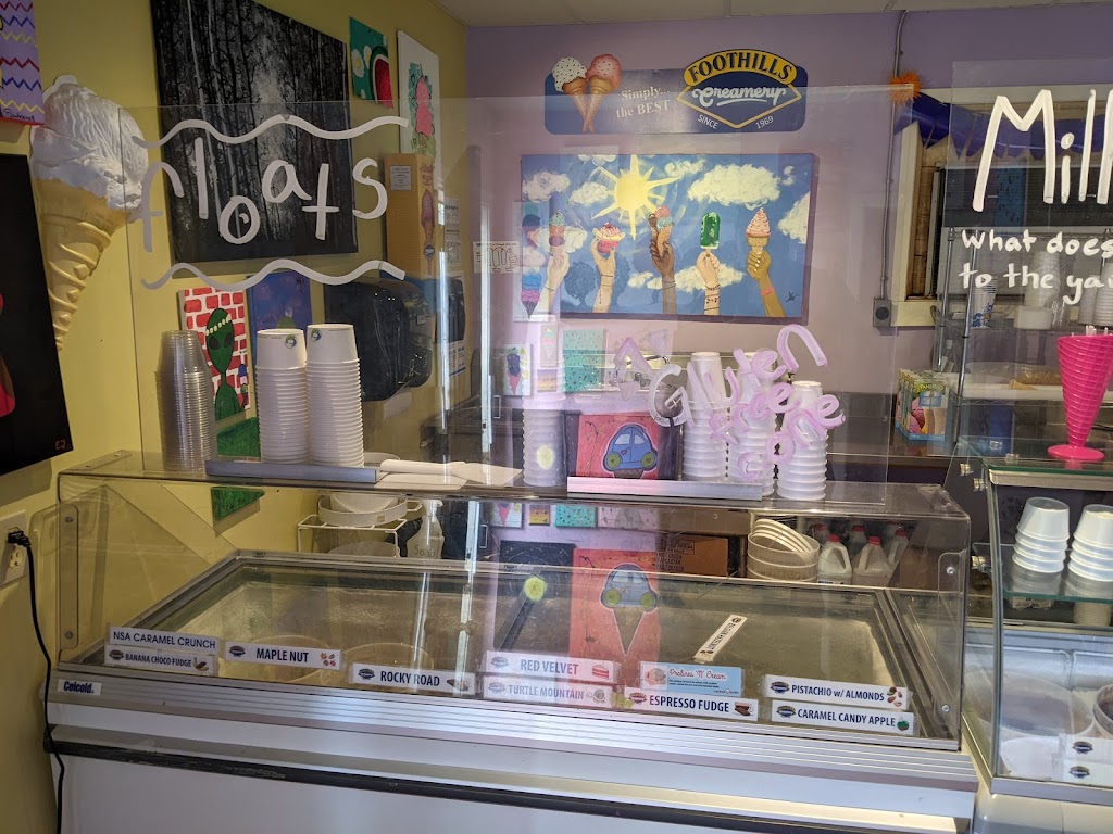 Chill Out Ice Cream | 5001 Black Forest Trail, Invermere, BC V0A 1K2, Canada | Phone: (250) 342-7176