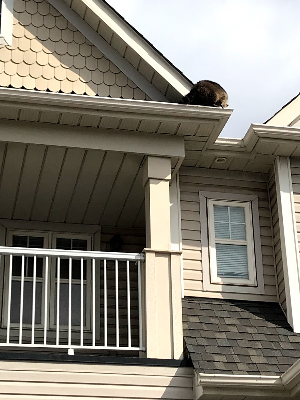 Done Right Pest and Wildlife Control | 1830 Main St W # 201, Hamilton, ON L8S 1H5, Canada | Phone: (905) 981-3663