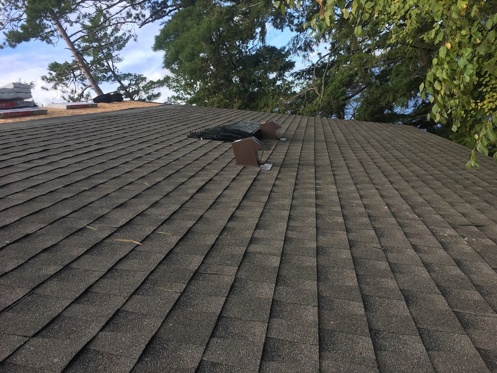 David Stewart Roofing | 53 Savage Dr, Stittsville, ON K2S 1H4, Canada | Phone: (613) 809-9961