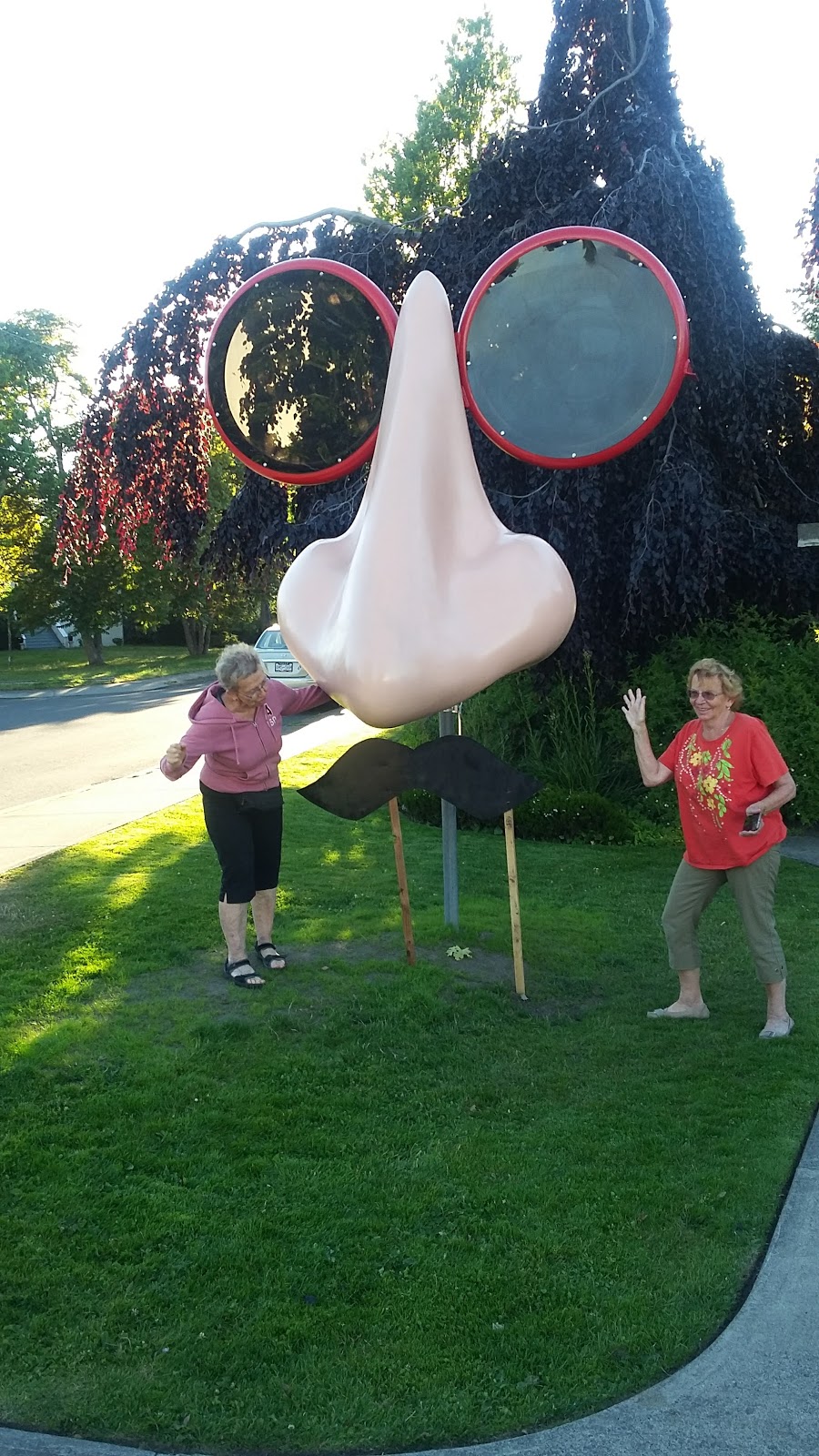 Lokier Garden | 2527 Thompson Ave, Victoria, BC V8R 3L2, Canada