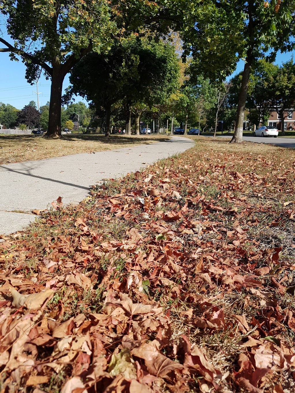 Forestview Park | 2021 Barsuda Dr, Mississauga, ON L5J 1V6, Canada