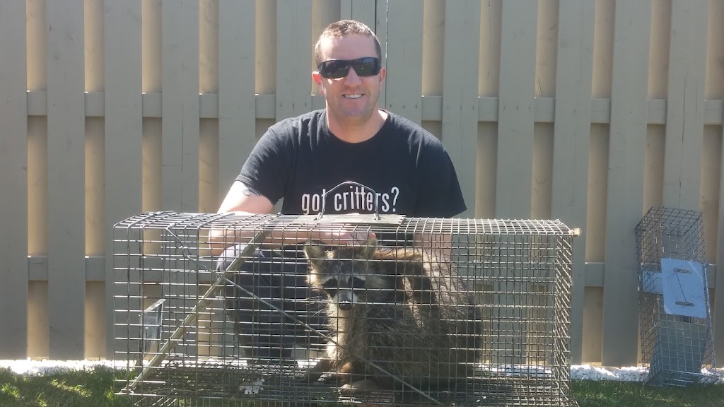 Shamrock Wildlife Control | 49 Gill Rd, Grand Bend, ON N0M 1T0, Canada | Phone: (289) 668-8062