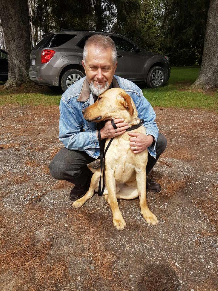 Thames Centre Service Dogs | 23698 Sutherland Rd, Mount Brydges, ON N0L 1W0, Canada | Phone: (519) 318-4658
