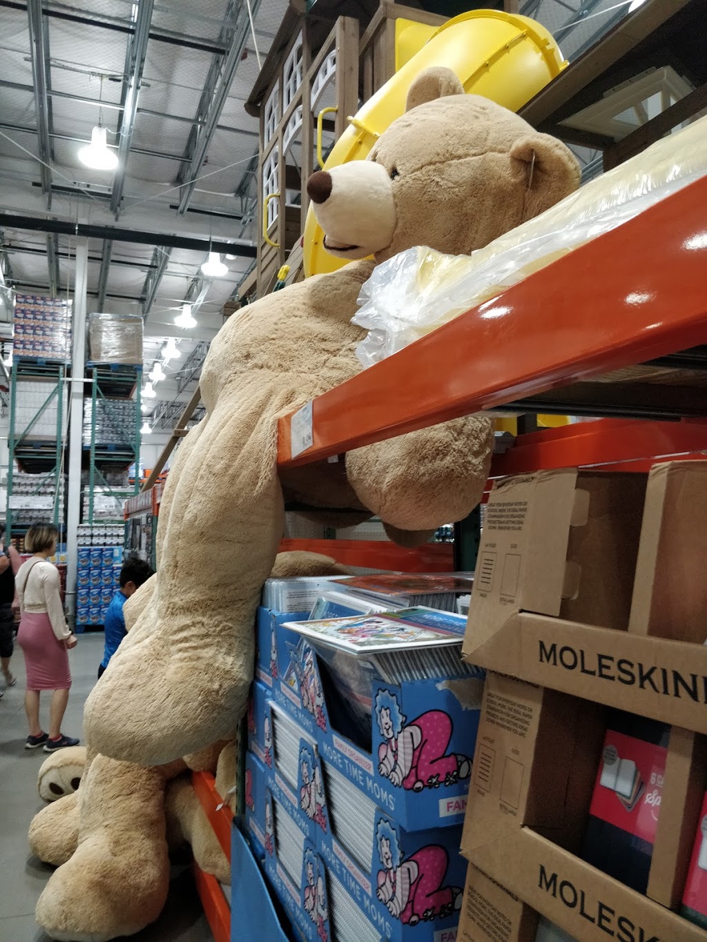 Costco Wholesale | 140 Granite Dr, Moncton, NB E1H 2G9, Canada | Phone: (506) 317-0423