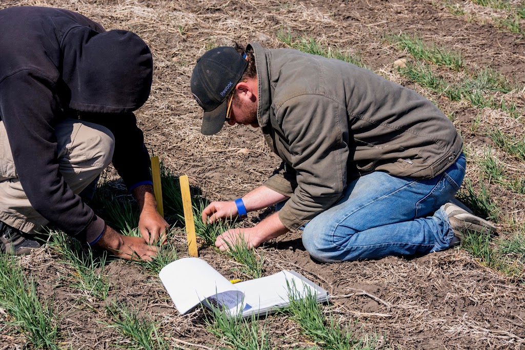 Battle River Research Group | 4804 43 Ave, Forestburg, AB T0B 1N0, Canada | Phone: (780) 582-7308